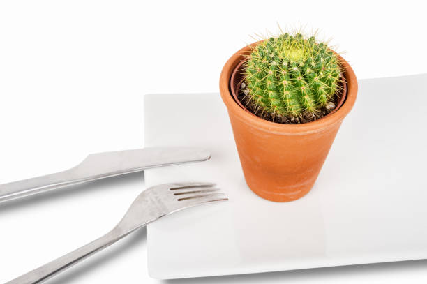istock Cactus on a plate, symbolizing anorexia and food disorders 666366342
