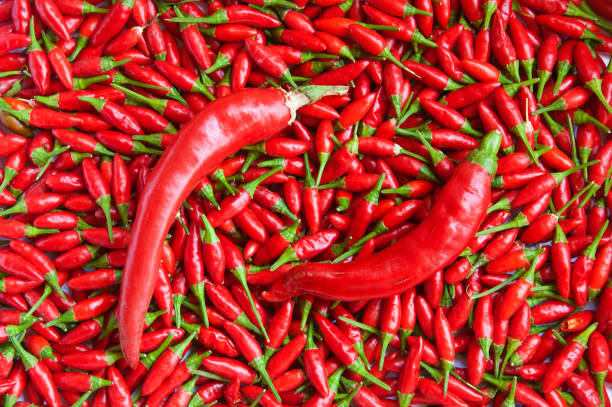istock Hot peppers of different sizes 666366878