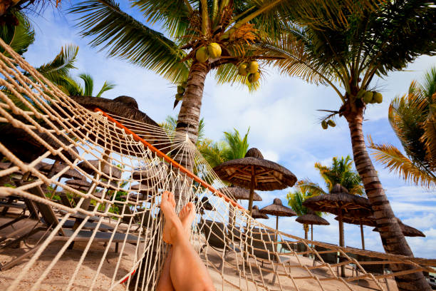 istock hammock on tropical beach with palm leaf thatch roofing  umbrellas and palm trees in the background 666367236