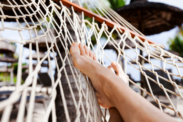 istock hammock on tropical beach with palm leaf thatch roofing  umbrellas and palm trees in the background 666367260