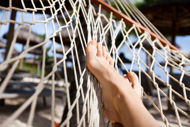 istock hammock on tropical beach with palm leaf thatch roofing  umbrellas and palm trees in the background 666367264