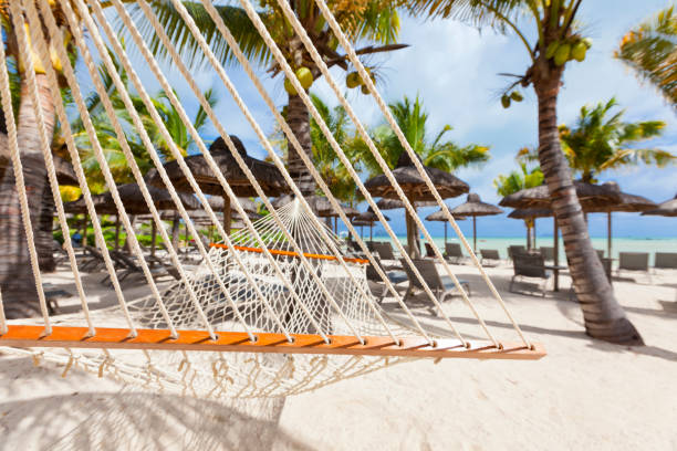 istock hammock on tropical beach with palm leaf thatch roofing  umbrellas and palm trees in the background 666367296