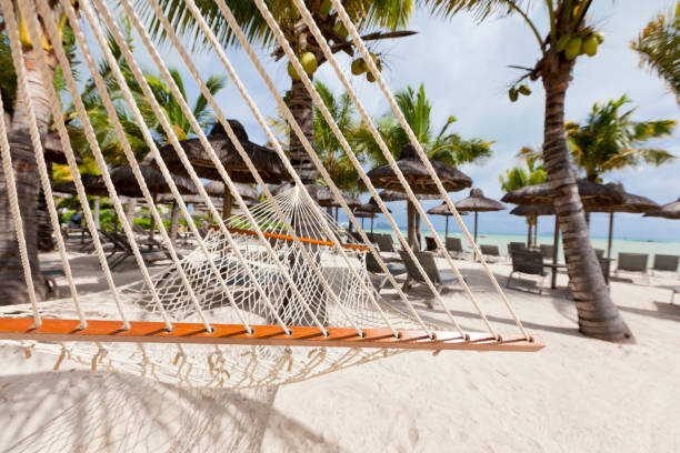 istock hammock on tropical beach with palm leaf thatch roofing  umbrellas and palm trees in the background 666367308
