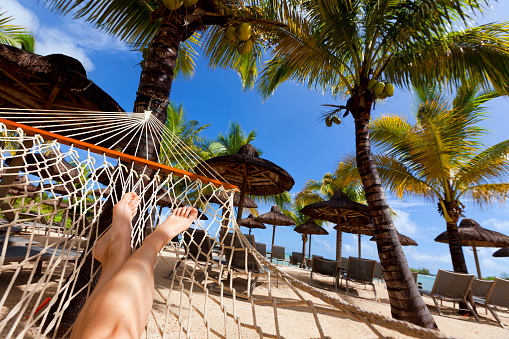 hammock on tropical beach with palm leaf thatch roofing  umbrellas and palm trees in the background