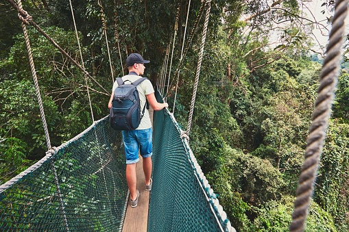 Canopy walk