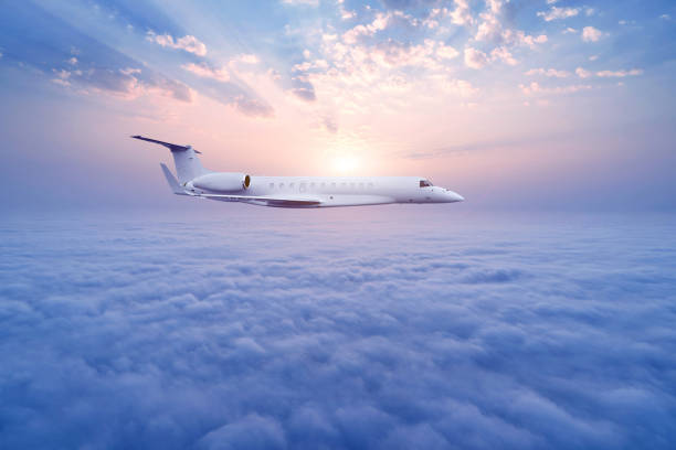 corporate jet airplane flying at dusk, vertical frame (XXL)