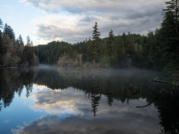 istock Fog On The Mountain Lake 666375078