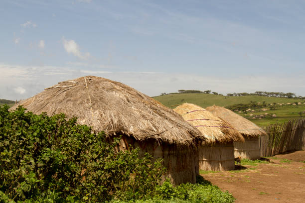 istock Maasai huts in village 666376098