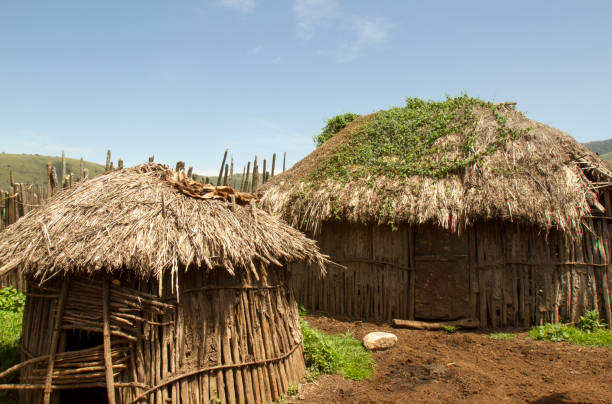 istock Thatched Maasai huts in village 666376140