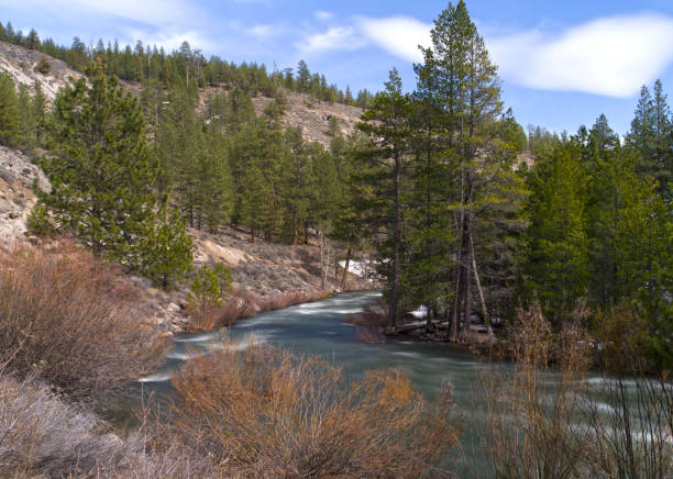 istock Landscape of the Little Truckee River during spring runoff with motion blurred water effect. 666376466