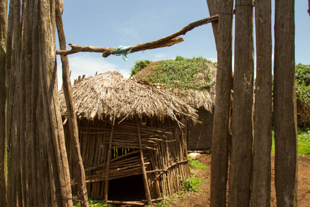 istock Thatched Maasai huts in krall in village 666376478