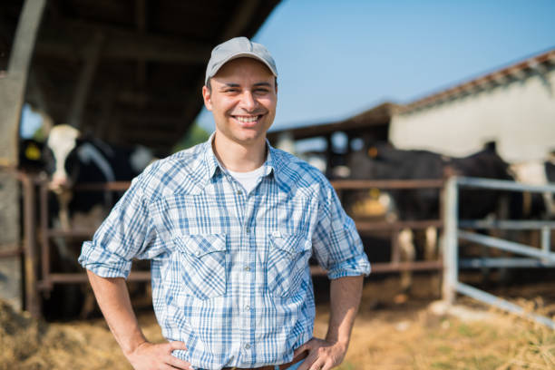 istock Smiling farmer in front of his cows 666378690