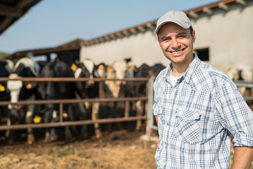 Smiling breeder in front of his cows