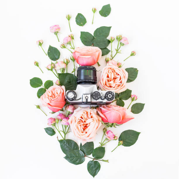 istock Old retro camera and pink roses on white background. Flat lay, Top view 666384640