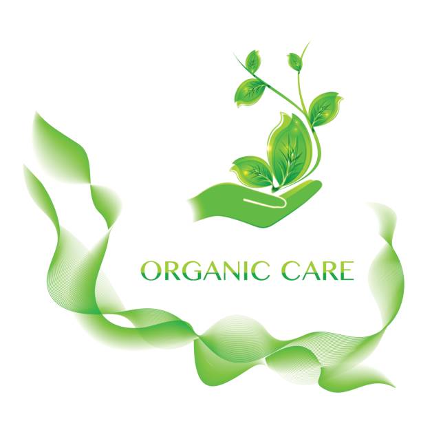 istock Sprout in a hand sign of environmental protection 666384842