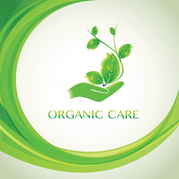 istock Sprout in a hand sign of environmental protection 666384922