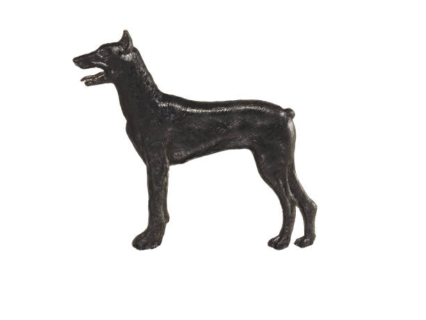 istock Black dog figure on white background, Doberman Pinscher 666385208