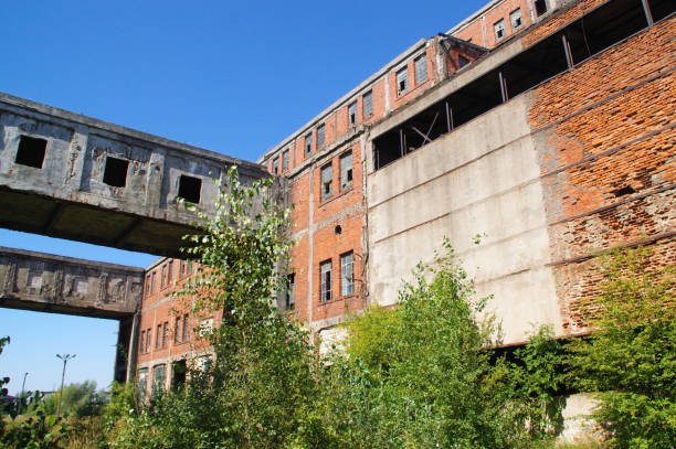 istock Overgrown ruins of old factory 666387610