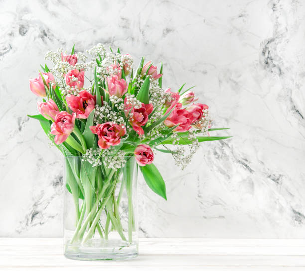 istock Pink tulip flowers bright background 666391216