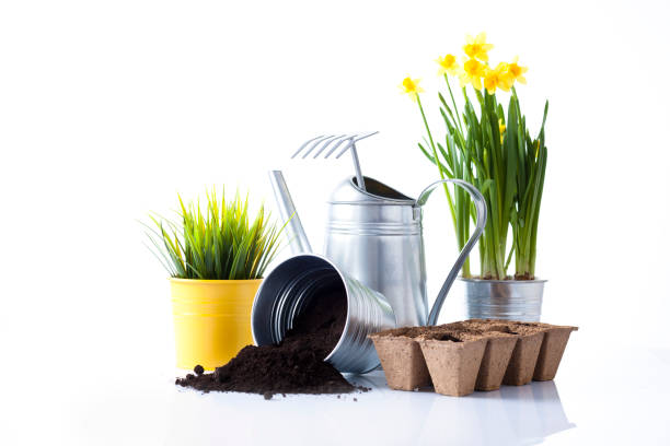 istock Gardening tools and flowers isolated on white 666391774