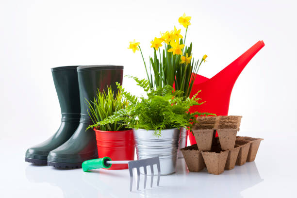 istock Gardening tools and flowers isolated on white 666391780