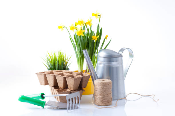 istock Gardening tools and flowers isolated on white 666391790
