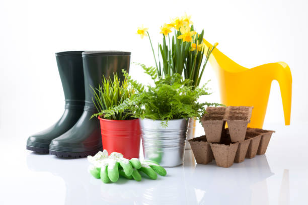 istock Gardening tools and flowers isolated on white 666391796