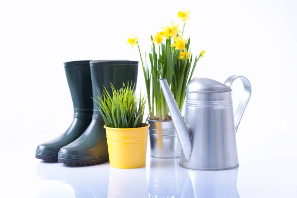 istock Gardening tools and flowers isolated on white 666391822