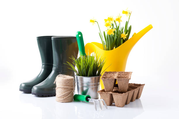 istock Gardening tools and flowers isolated on white 666391824