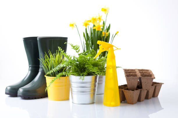 istock Gardening tools and flowers isolated on white 666391830