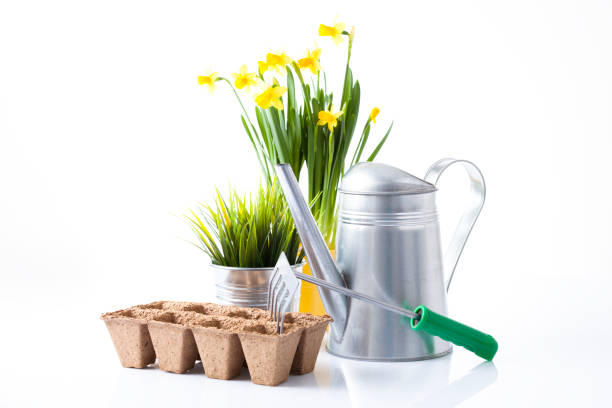 istock Gardening tools and flowers isolated on white 666391850