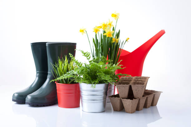 istock Gardening tools and flowers isolated on white 666391882