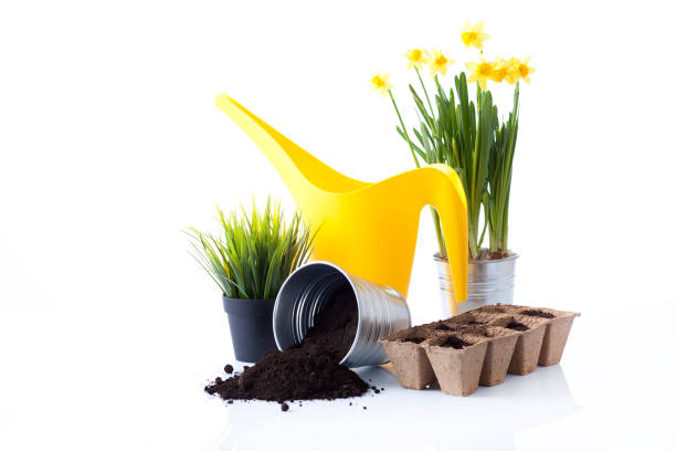 istock Gardening tools and flowers isolated on white 666391900