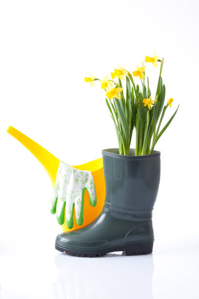 istock Gardening tools and flowers isolated on white 666391952