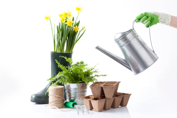 istock Gardening tools and flowers isolated on white 666392062