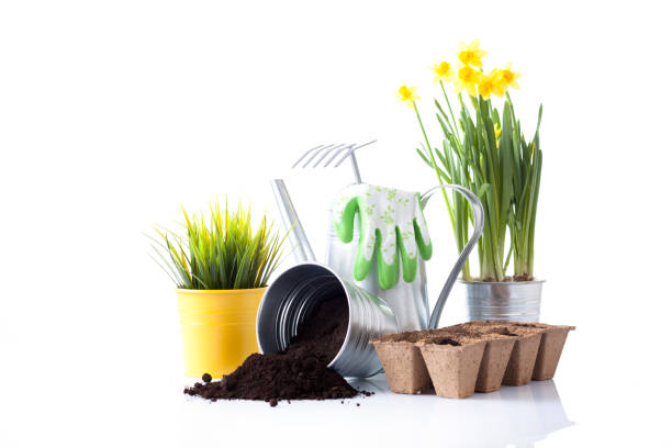 istock Gardening tools and flowers isolated on white 666392064