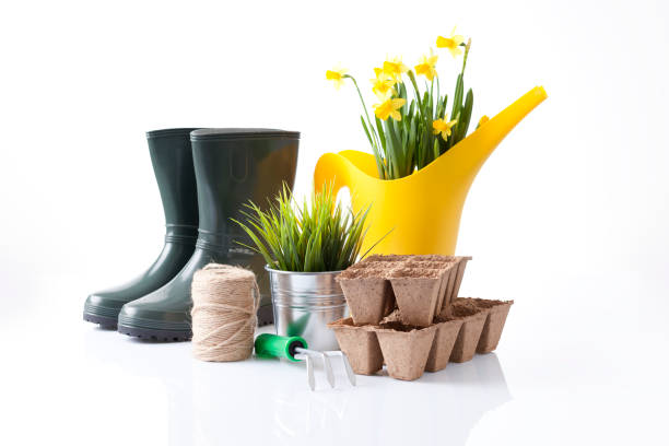 istock Gardening tools and flowers isolated on white 666392070