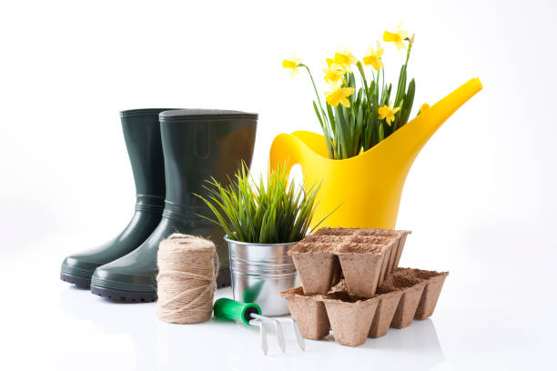istock Gardening tools and flowers isolated on white 666392072