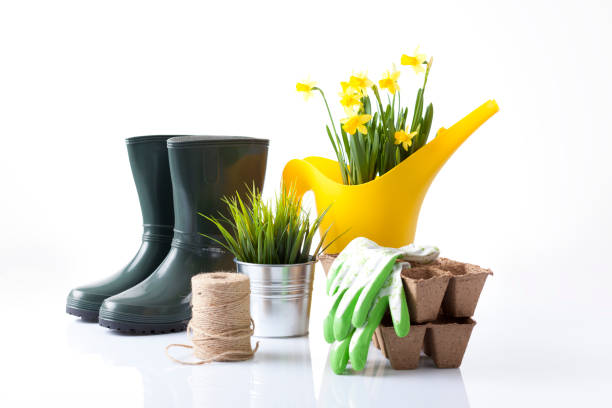 istock Gardening tools and flowers isolated on white 666392076
