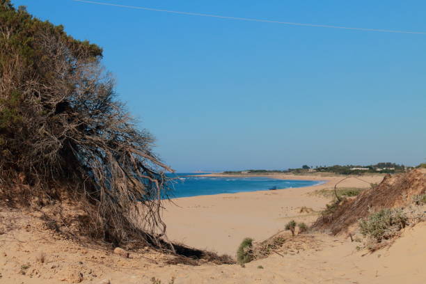 istock Landscape with dunes on the beach 666396784