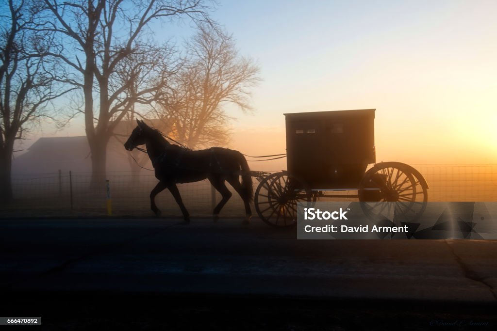 An Amish Buggy in Profile and in Silhouette in the Morning Fog An Amish Buggy at a foggy dawn in Northern Indiana. The horse and buggy appear in silhouette as the sun rises. There is considerable contrast of light and darkness. Carriage Stock Photo