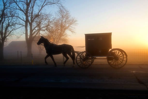 An Amish Buggy in Profile and in Silhouette in the Morning Fog An Amish Buggy at a foggy dawn in Northern Indiana. The horse and buggy appear in silhouette as the sun rises. There is considerable contrast of light and darkness. amish photos stock pictures, royalty-free photos & images