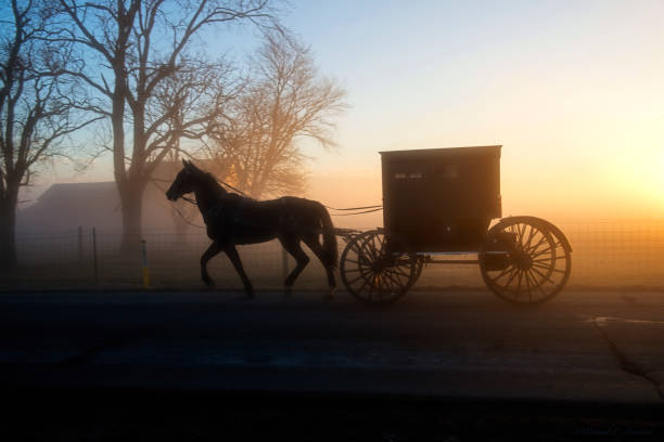 An Amish Buggy in Profile and in Silhouette in the Morning Fog An Amish Buggy at a foggy dawn in Northern Indiana. The horse and buggy appear in silhouette as the sun rises. There is considerable contrast of light and darkness. Amish stock pictures, royalty-free photos & images