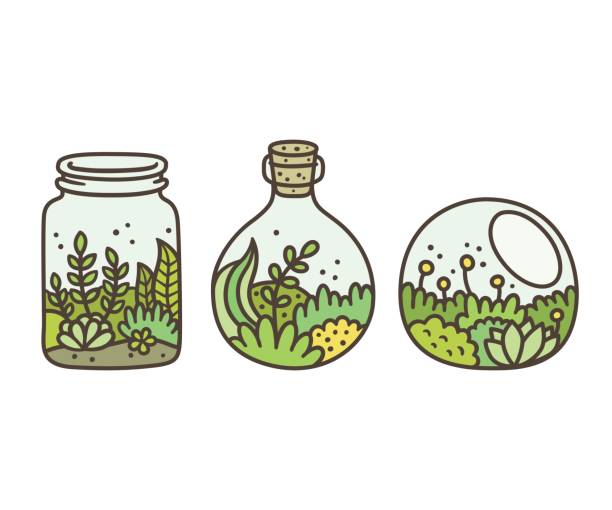 Plant in terrariums Plants in terrariums set. Moss, succulents and flowers in glass jars. Hand drawn doodle style vector illustration. terrarium stock illustrations