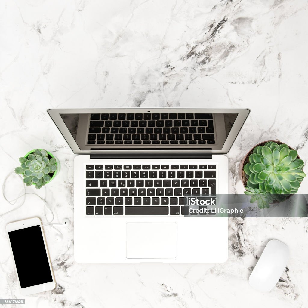 Office workplace Notebook phone succulent plants Flat lay Office workplace. Notebook, phone, succulent plants. Flat lay top view Laptop Stock Photo