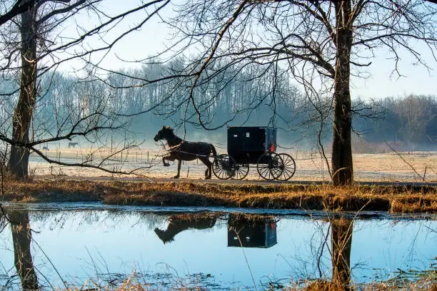An Amish buggy passing a pond on early on a foggy morning.