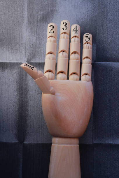 istock Wooden hand with five fingers raised and numbered with numbers one, two, three, four and five 666486316