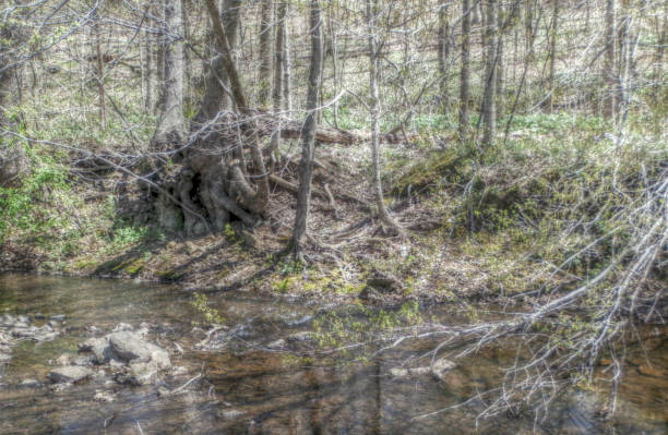 istock lake in Middle Tennessee 666490092