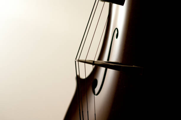 cello saiten - orchester stock-fotos und bilder