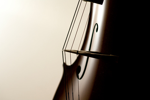 Cuerdas para violonchelo photo